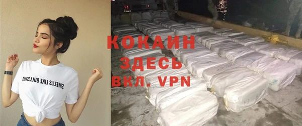 дмт Анива