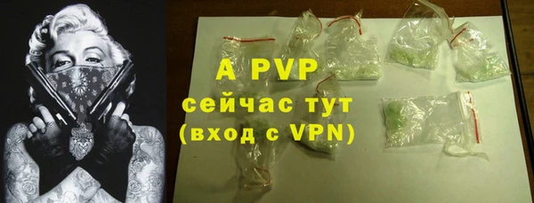 ПСИЛОЦИБИНОВЫЕ ГРИБЫ Апатиты