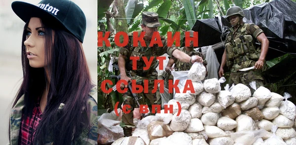 гидра Алагир