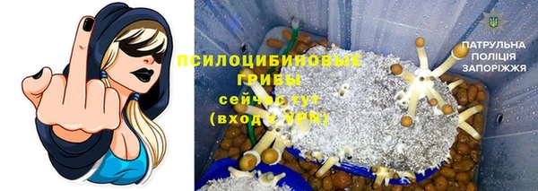 гидра Алагир