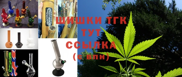гидра Алагир