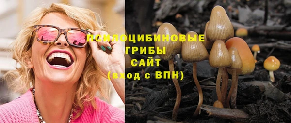 дмт Анива