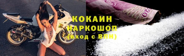 гидра Алагир